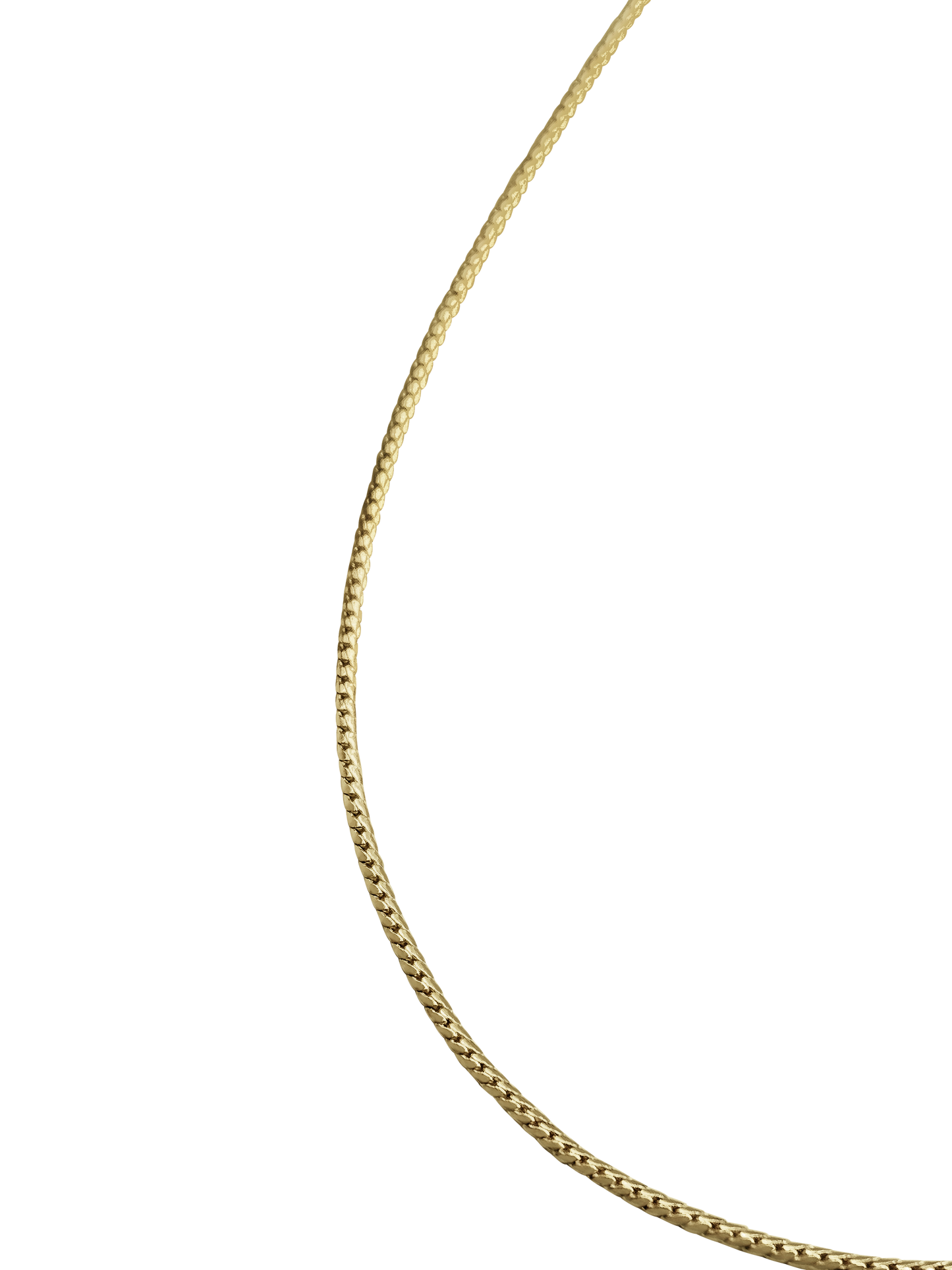 Laura Lombardi Mini Omega Chain clasp